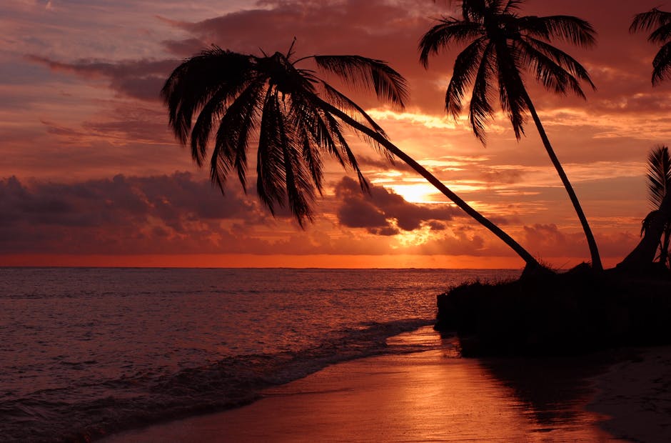 servicios de IA en cloud computing - A comprehensive visual overview (Image: Pexels)