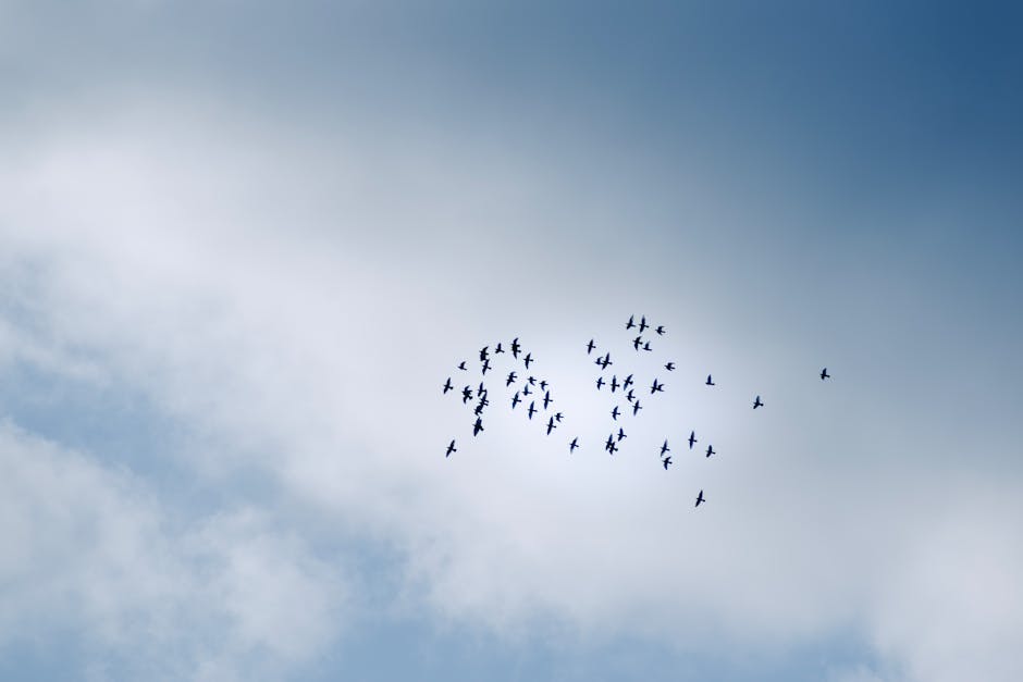 Du Sur-Premise au Cloud: Stratégies de Migration Essentiel Réelles