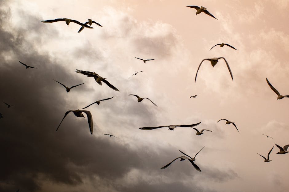 stratégie migration cloud - A comprehensive visual overview (Image: Pexels)