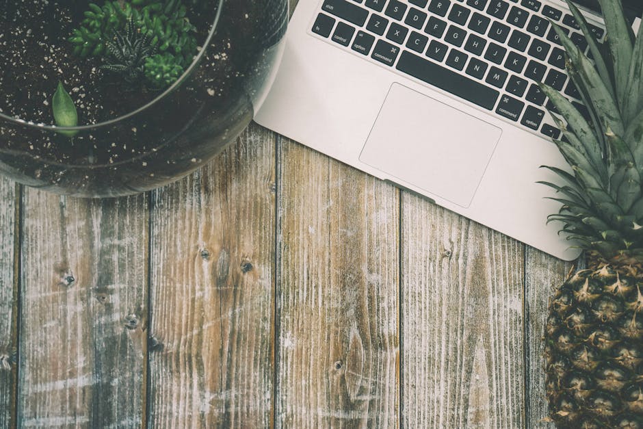 Visual guide to artificial intelligence in modern technology (Image: Pexels)